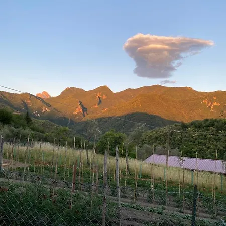 Splendida Vista Apartment *