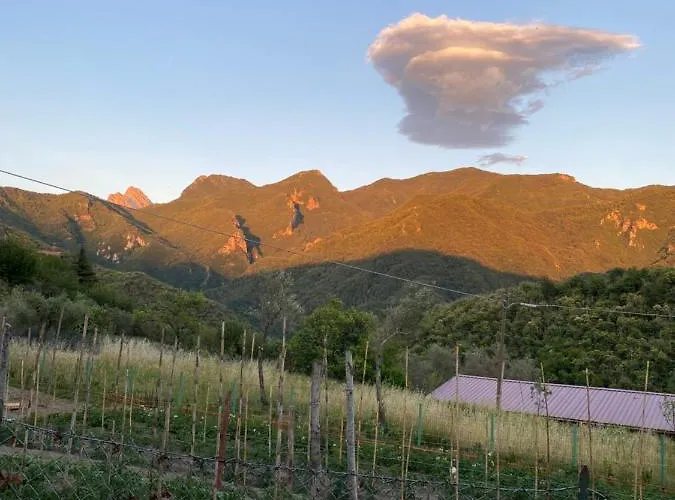 Splendida Vista 아파트 *